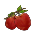 Red Apple