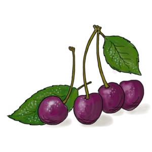 Black Cherry