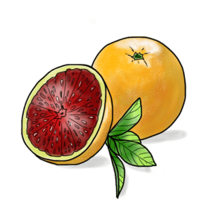 Whole Fruit Blood Orange