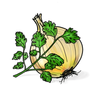 Cilantro & Roasted Onion