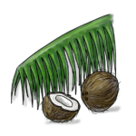 Coconut