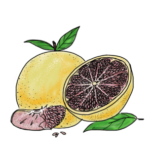Grapefruit