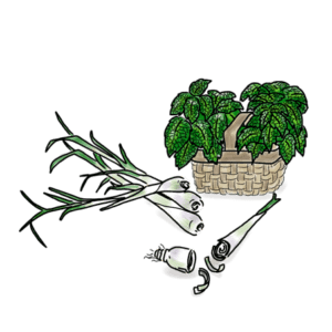 Lemongrass Mint
