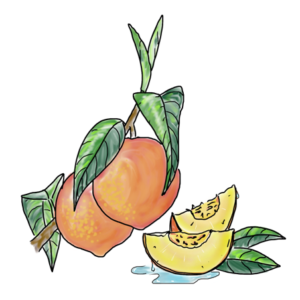Peach