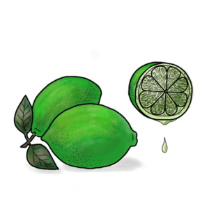 Persian Lime