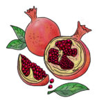 Pomegranate