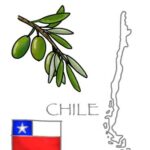 Arbequina