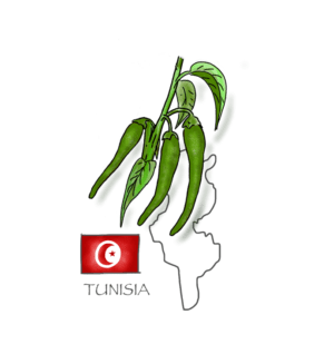 Baklouti