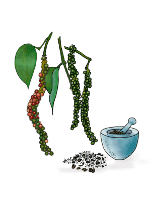 Madagascar Black Pepper