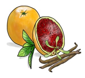 Cara Cara Orange Vanilla