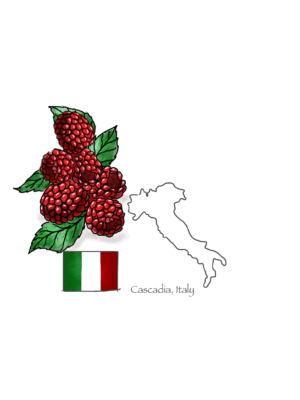 Cascadian Wild Raspberry