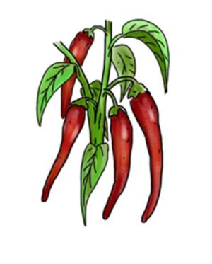 Gochujang