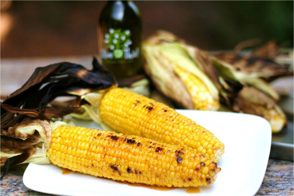 Grilled Corn on Cob Feature
