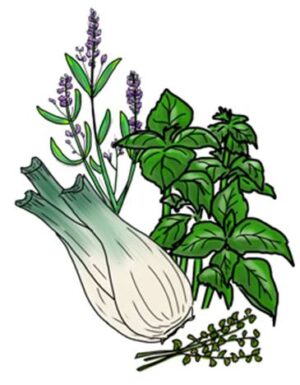 Herbs de Provence