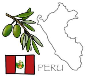 Arbequina
