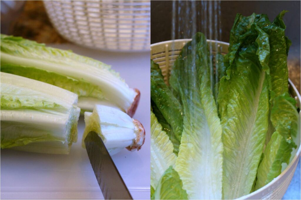 Prepare and Rinse Romaine Leaves