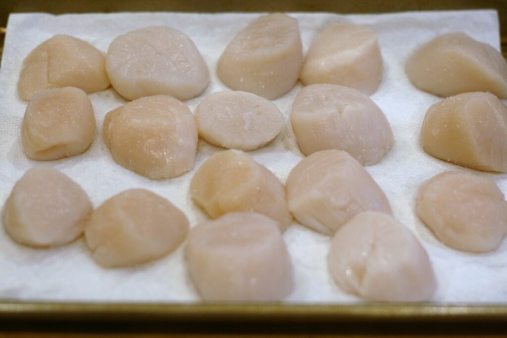 Raw sea scallopes on tray