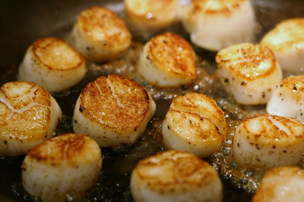 Sea scallops searing close up