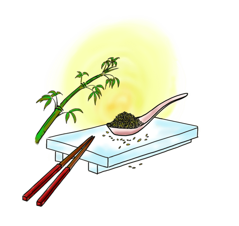 Toasted Sesame Oil Olive This!