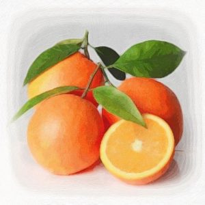 Navel Orange